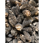 Dried Wild Greys-Green Morel Mushrooms from the USA, Wild Crafted