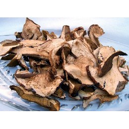 Dried European Porcini Mushrooms-Wild