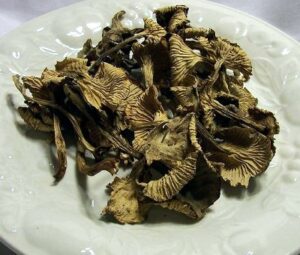Dried Yellow Foot Mushrooms