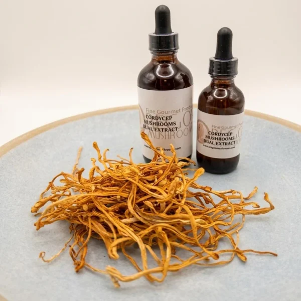 Cordycep Tincture-Extract Cordycep Tincture-Extract - Premium Quality