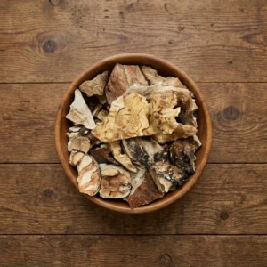Dried Chicken Of The Woods Wild USA Dried Chicken Of The Woods Wild USA - Premium Quality