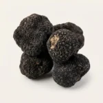 Fresh Black Winter Truffles -Perigords - Premium Quality