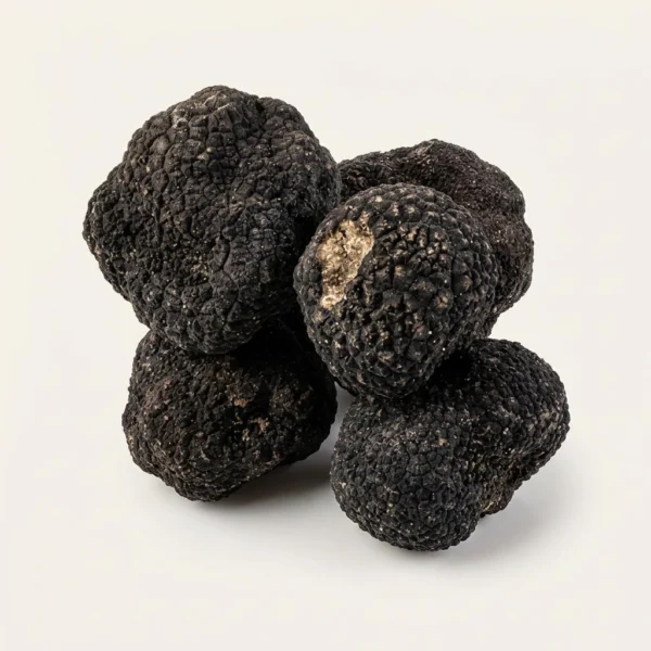 Fresh Black Winter Truffles -Perigords - Premium Quality