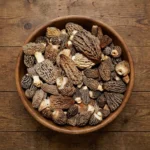 Fresh Blonde Morel Mushrooms Fresh Blonde Morel Mushrooms - Premium Quality