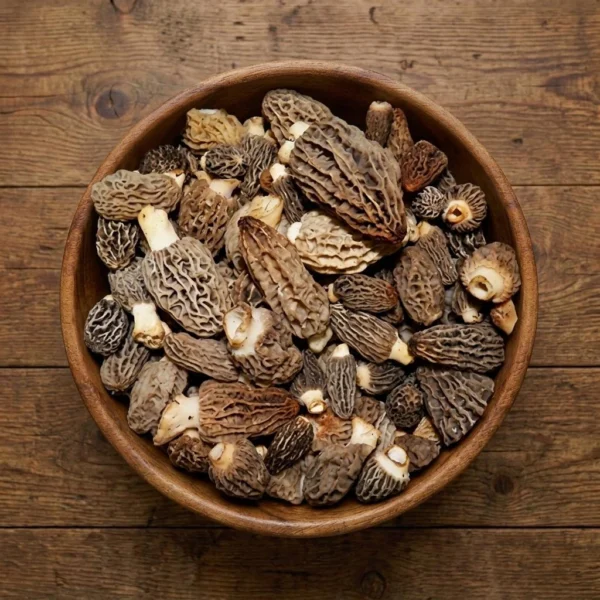 Fresh Blonde Morel Mushrooms - Premium Quality