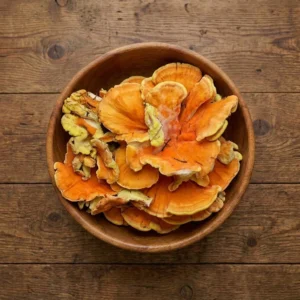Fresh Chicken Of The Woods Fresh Chicken Of The Woods - Premium Quality