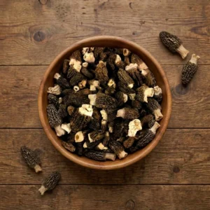 Fresh Conica Morels Fresh Conica Morels - Premium Quality