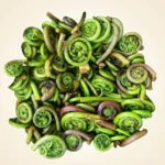 Fresh Fiddlehead Ferns - Premium Quality