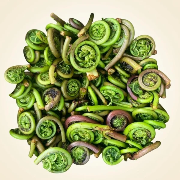 Fresh Fiddlehead Ferns - Premium Quality