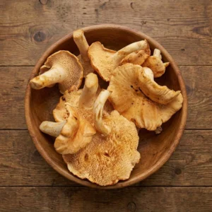 Fresh Hedgehog Mushrooms Fresh Hedgehog Mushrooms - Premium Quality