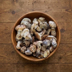 Fresh_Matsutake_23 Fresh Matsutake #2