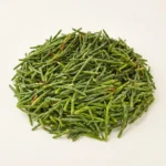Fresh Sea Beans - Premium Quality