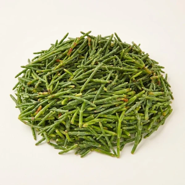Fresh Sea Beans Fresh Sea Beans - Premium Quality