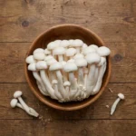 Fresh White Beech Mushrooms Fresh White Beech Mushrooms - Premium Quality