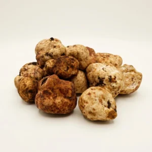 Fresh White Oregon Truffles Fresh White Oregon Truffles - Premium Quality
