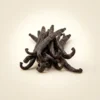 Vanilla Beans Madagascar - Premium Quality