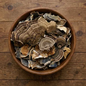 Dried Turkey Tail Mushrooms Wild USA