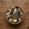 Fresh Grey and Green Morel Mushrooms