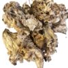 Dried Wild Lion's Mane Mushrooms