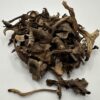 Dried Yellow Feet Mushrooms Wild USA