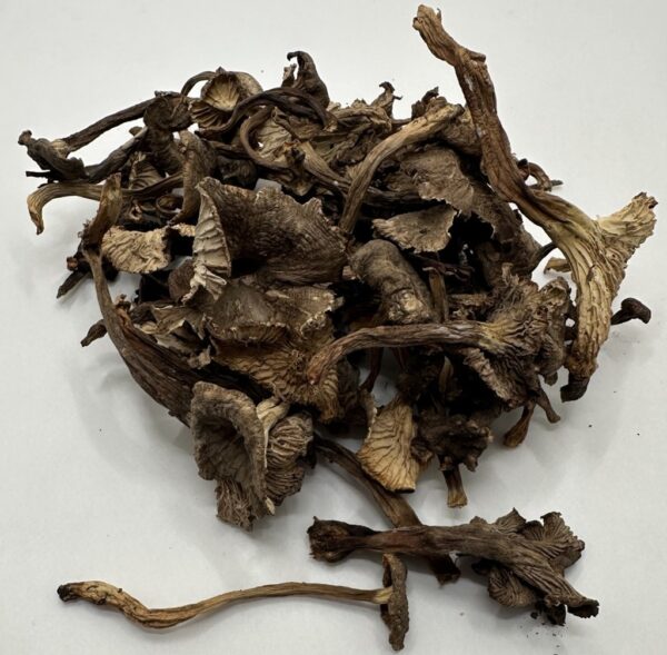 Dried Yellow Feet Mushrooms Wild USA