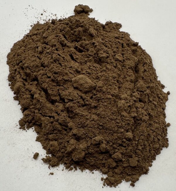 Dried European Porcini Powder-Wild