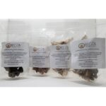 mushroom sampler Dried Mushrooms Sampler